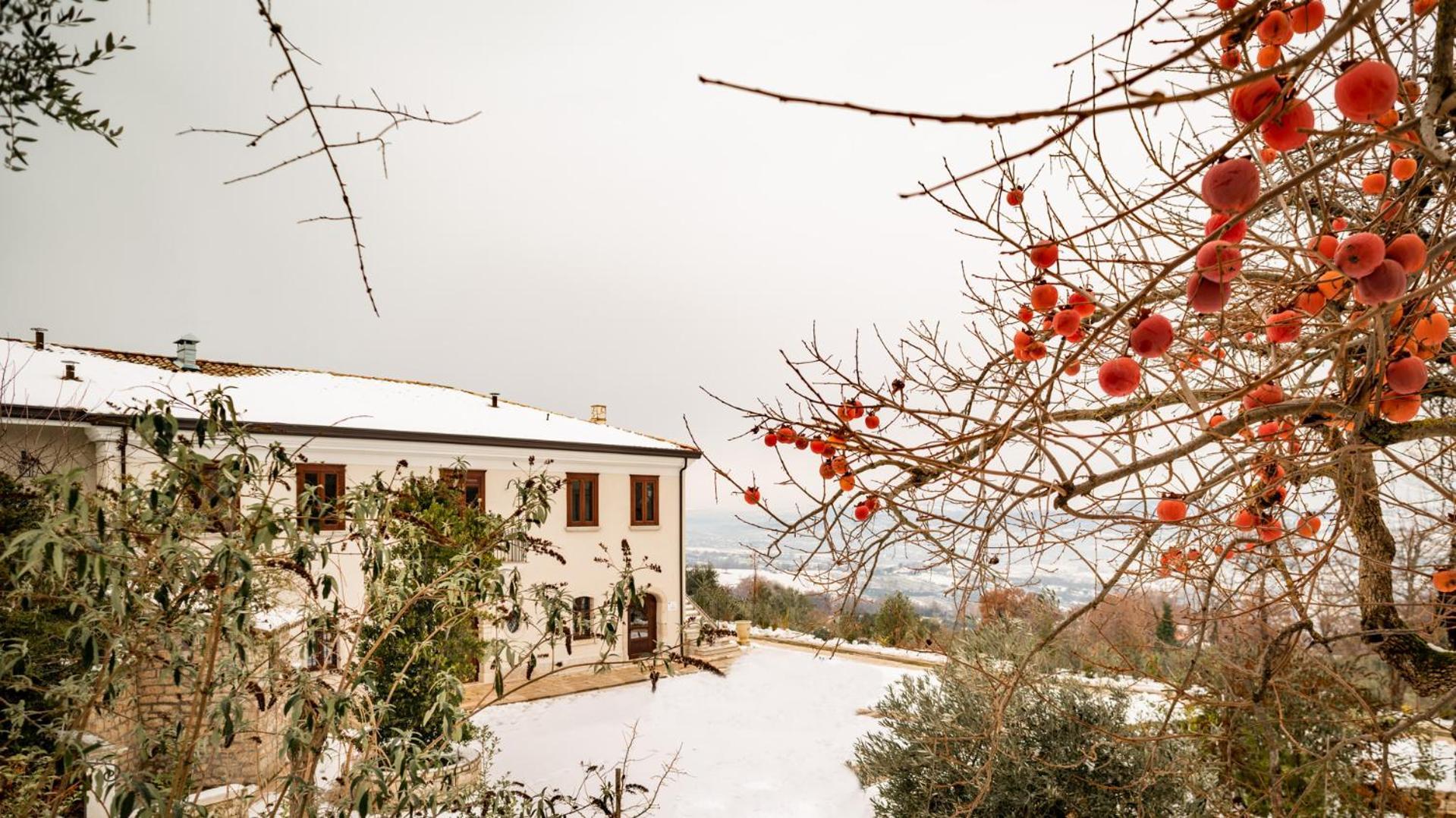 Il Mulino Della Signora Luxury Country House Frigento Exteriér fotografie